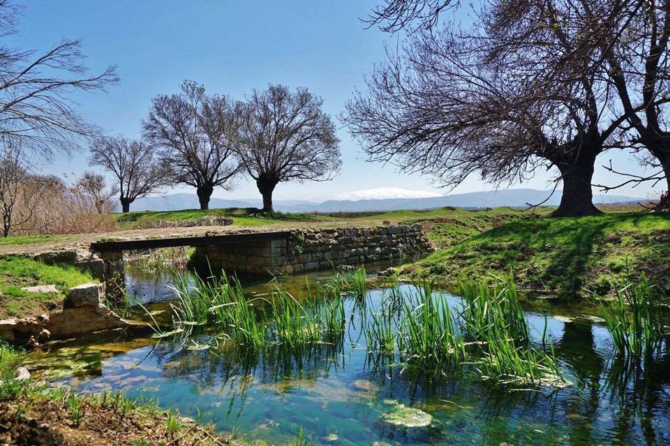 Ammiq Wetlands,